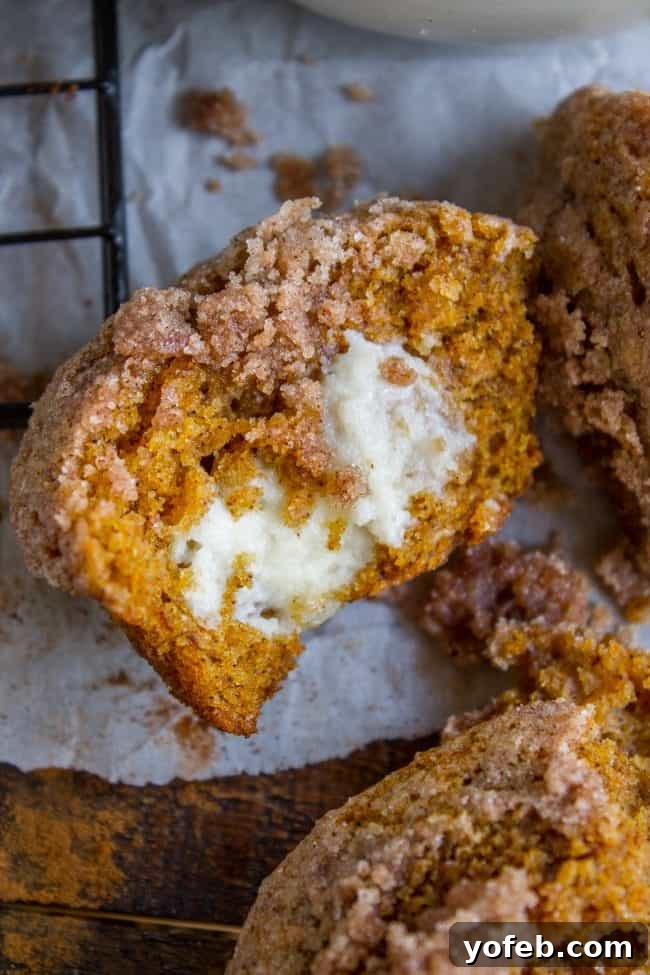 Pumpkin Cream Cheese Muffins from The Food Charlatan. There is no better way to welcome fall than with these Pumpkin Cream Cheese Muffins! A moist, tender, ultra pumpkin-y muffin, filled with sweetened cream cheese, and topped with cinnamon sugar crunch topping! They are irresistible! If it's too hot where you are, these muffins are guaranteed to make the leaves start falling off your trees. #muffin #pumpkin #fall #fallbaking #creamcheese #filling #filled #crumbtopping #topping #best #moist #cinnamon #pumpkinpie #pumpkinpiespice #thanksgiving #autumn #starbucks #copycat #tall #baking A pumpkin cream cheese muffin split in half, showcasing its rich, moist interior and creamy filling.