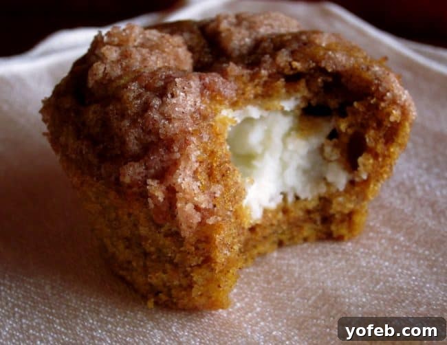 Pumpkin Cream Cheese Muffins from The Food Charlatan. There is no better way to welcome fall than with these Pumpkin Cream Cheese Muffins! A moist, tender, ultra pumpkin-y muffin, filled with sweetened cream cheese, and topped with cinnamon sugar crunch topping! They are irresistible! If it's too hot where you are, these muffins are guaranteed to make the leaves start falling off your trees. #muffin #pumpkin #fall #fallbaking #creamcheese #filling #filled #crumbtopping #topping #best #moist #cinnamon #pumpkinpie #pumpkinpiespice #thanksgiving #autumn #starbucks #copycat #tall #baking An early recipe photo for pumpkin cream cheese muffins, showing a muffin with a bite taken out.