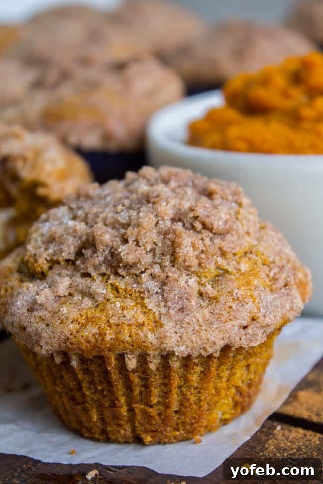 Pumpkin Cream Cheese Muffins from The Food Charlatan. There is no better way to welcome fall than with these Pumpkin Cream Cheese Muffins! A moist, tender, ultra pumpkin-y muffin, filled with sweetened cream cheese, and topped with cinnamon sugar crunch topping! They are irresistible! If it's too hot where you are, these muffins are guaranteed to make the leaves start falling off your trees. #muffin #pumpkin #fall #fallbaking #creamcheese #filling #filled #crumbtopping #topping #best #moist #cinnamon #pumpkinpie #pumpkinpiespice #thanksgiving #autumn #starbucks #copycat #tall #baking Pumpkin muffins with cream cheese filling and streusel topping, perfectly baked.