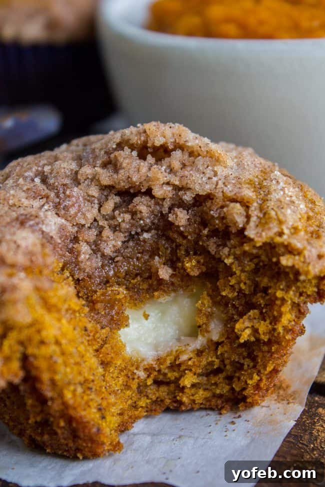 Pumpkin Cream Cheese Muffins from The Food Charlatan. There is no better way to welcome fall than with these Pumpkin Cream Cheese Muffins! A moist, tender, ultra pumpkin-y muffin, filled with sweetened cream cheese, and topped with cinnamon sugar crunch topping! They are irresistible! #muffin #pumpkin #fall #fallbaking #creamcheese #filling #filled #crumbtopping #topping #best #moist #cinnamon #pumpkinpie #pumpkinpiespice #thanksgiving #autumn #starbucks #copycat #tall #baking Side view of a cream cheese pumpkin muffin with a bite taken out, highlighting its rich texture and filling.