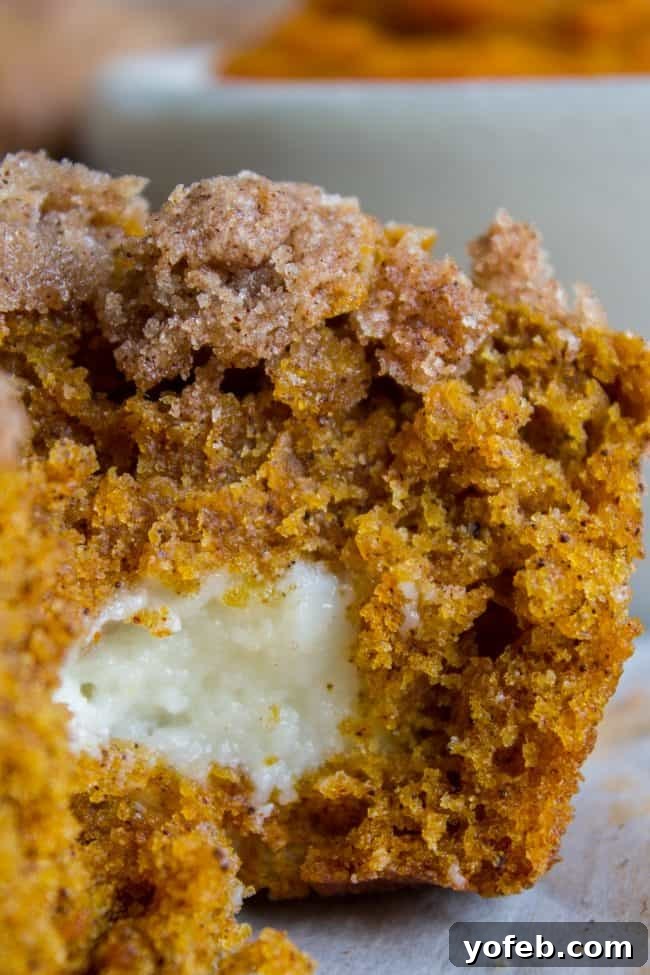 Pumpkin Cream Cheese Muffins from The Food Charlatan. There is no better way to welcome fall than with these Pumpkin Cream Cheese Muffins! A moist, tender, ultra pumpkin-y muffin, filled with sweetened cream cheese, and topped with cinnamon sugar crunch topping! They are irresistible! If it's too hot where you are, these muffins are guaranteed to make the leaves start falling off your trees. #muffin #pumpkin #fall #fallbaking #creamcheese #filling #filled #crumbtopping #topping #best #moist #cinnamon #pumpkinpie #pumpkinpiespice #thanksgiving #autumn #starbucks #copycat #tall #baking Closeup of pumpkin muffins with cream cheese filling showing a moist crumb and perfect streusel.