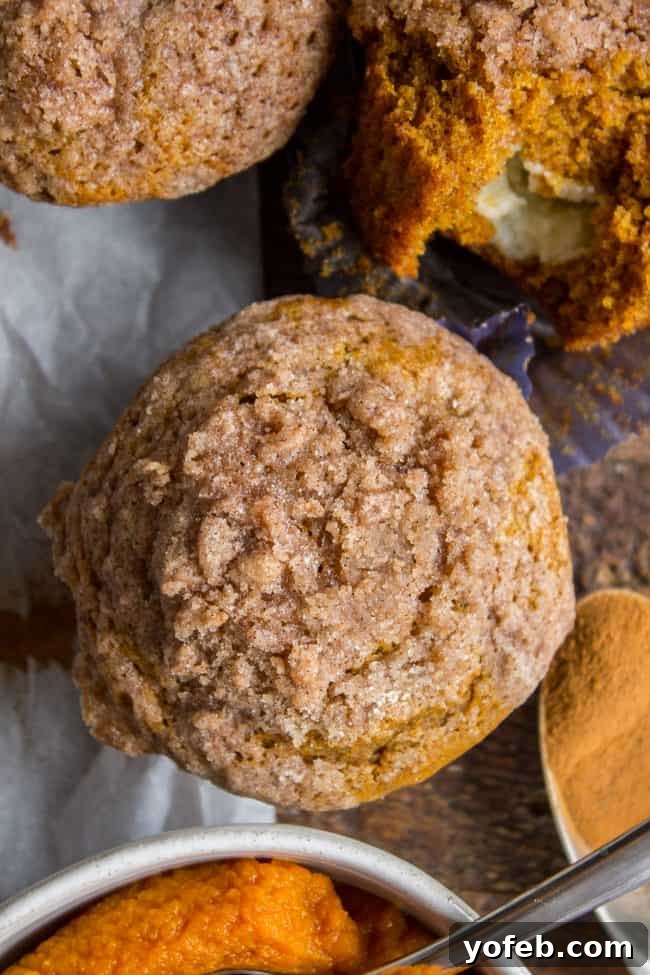 Pumpkin Cream Cheese Muffins from The Food Charlatan. There is no better way to welcome fall than with these Pumpkin Cream Cheese Muffins! A moist, tender, ultra pumpkin-y muffin, filled with sweetened cream cheese, and topped with cinnamon sugar crunch topping! They are irresistible! If it's too hot where you are, these muffins are guaranteed to make the leaves start falling off your trees. #muffin #pumpkin #fall #fallbaking #creamcheese #filling #filled #crumbtopping #topping #best #moist #cinnamon #pumpkinpie #pumpkinpiespice #thanksgiving #autumn #starbucks #copycat #tall #baking Overhead view of several pumpkin cream cheese muffins arranged on a counter, ready to be enjoyed.