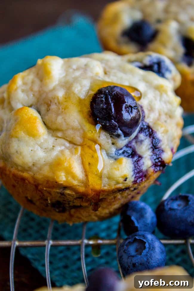Homemade Pancake Muffins 9 Close-up of freshly baked Blueberry Buttermilk Pancake Muffins, showcasing their golden-brown tops and moist texture.