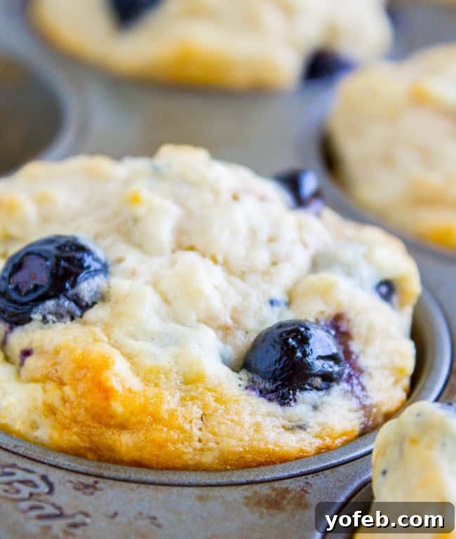 Homemade Pancake Muffins 10 A batch of Blueberry Buttermilk Pancake Muffins baked to perfection in a muffin tin.