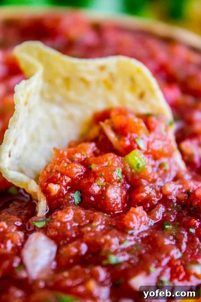Salsa in 5: Restaurant Flavor for Your Best Taco Tuesday Yet 2 close up of a tortilla chip dipped into homemade salsa.