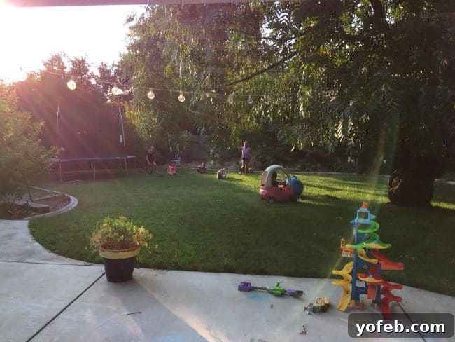 Salsa in 5: Restaurant Flavor for Your Best Taco Tuesday Yet 6 A backyard with toys and children playing.