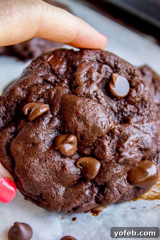 Decadent Double Chocolate Chip Cookies 2 Thick, fudgy double chocolate chip cookie on parchment paper, showcasing its rich texture and generous chocolate chips.