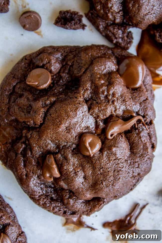 Decadent Double Chocolate Chip Cookies 12 A batch of thick, rich, soft double chocolate cookies cooling on parchment paper after baking.
