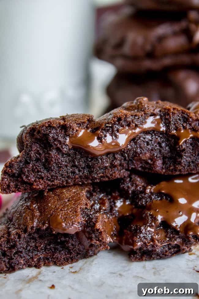 Decadent Double Chocolate Chip Cookies 5 A thick, dark chocolate cookie carefully broken in half, revealing its moist, chewy interior studded with melted chocolate chips.