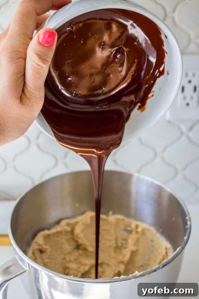 Decadent Double Chocolate Chip Cookies 9 Melted dark chocolate being poured into a bowl of rich cookie dough, showing the luxurious blending process.