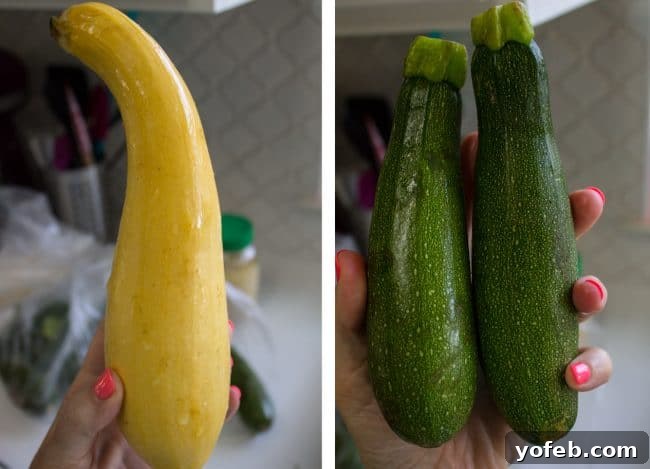 Effortless 10-Minute Zucchini Squash Side 4 A hand holds up three fresh, vibrant garden vegetables: one bright yellow squash and two green zucchinis, illustrating the quality produce needed for the recipe.