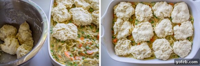 Biscuits on top of Chicken Pot Pie: Ready for the oven. Placing biscuits on top of chicken pot pie filling in a casserole dish before baking