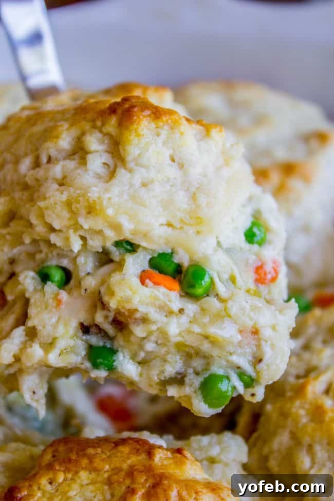 Savory Chicken Pot Pie with Golden Biscuit Crowns 3 Chicken Pot Pie with Flaky Biscuit Topping from The Food Charlatan