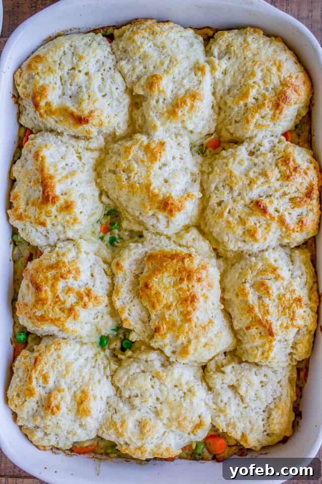 Chicken Pot Pie with Biscuit Topping: A satisfying, easy-to-make casserole perfect for family dinners or entertaining. Homemade Chicken Pot Pie with Buttermilk Biscuits, showing a close-up of the golden-brown topping and rich filling