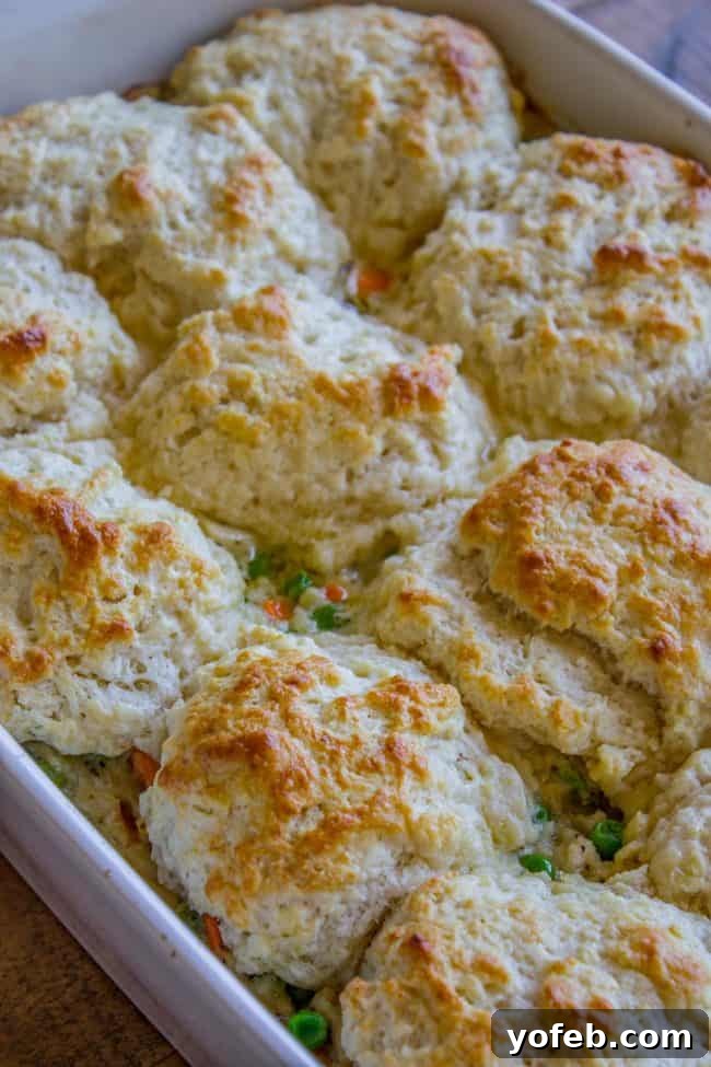 Bisquick Chicken Pot Pie: A simple, flavorful casserole with a convenient biscuit topping. Easy Bisquick Chicken Pot Pie with Golden Biscuits, showcasing a bubbling casserole fresh from the oven