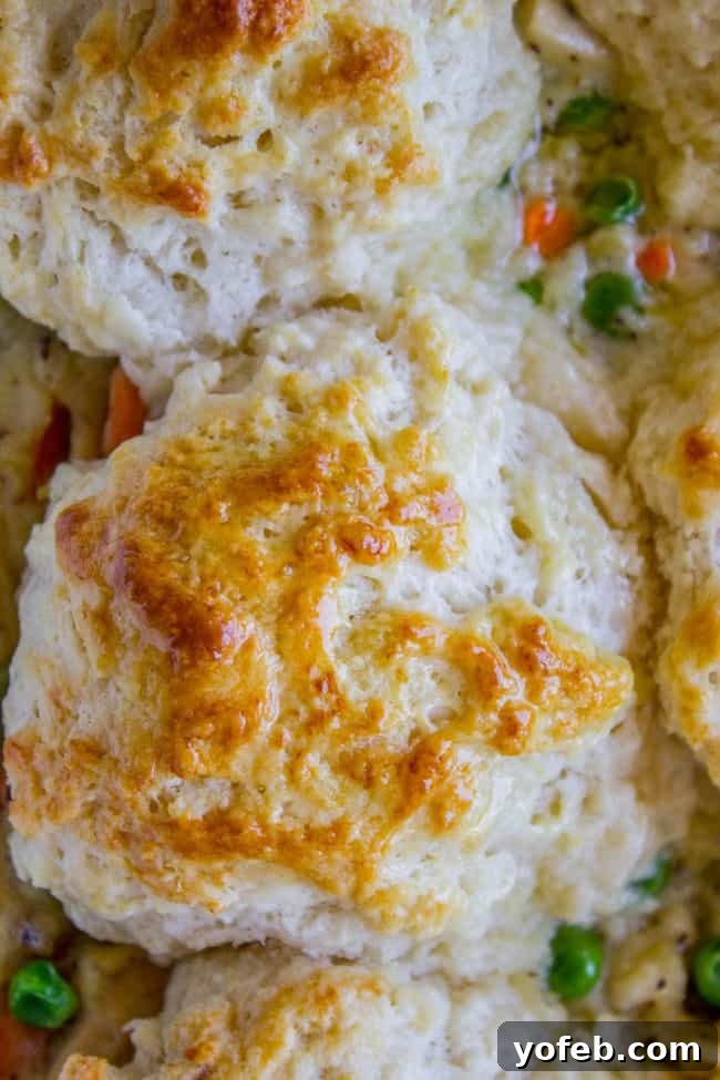 Chicken Pot Pie Recipe with Biscuits: The savory filling of chicken, vegetables, and creamy sauce. Chicken Pot Pie Recipe with Biscuits: A close-up of the delicious and comforting filling before baking