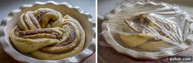 Maple Butter Morning Twist 12 Maple Butter Twist Coffee Cake dough covered with plastic wrap, allowing it to rise to double its size.