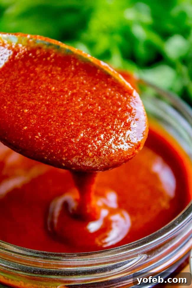 Speedy Homemade Enchilada Sauce 2 A spoon generously coated with rich, homemade red enchilada sauce, highlighting its perfect consistency and vibrant color.