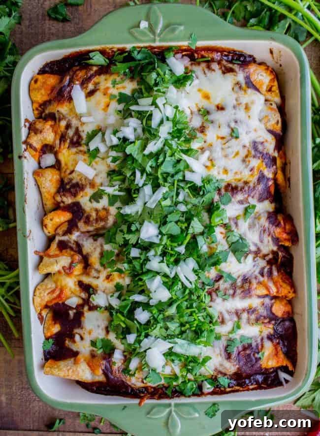 Sweet potato and black bean enchiladas topped with fresh cilantro and onions in a baking dish, ready to be served.