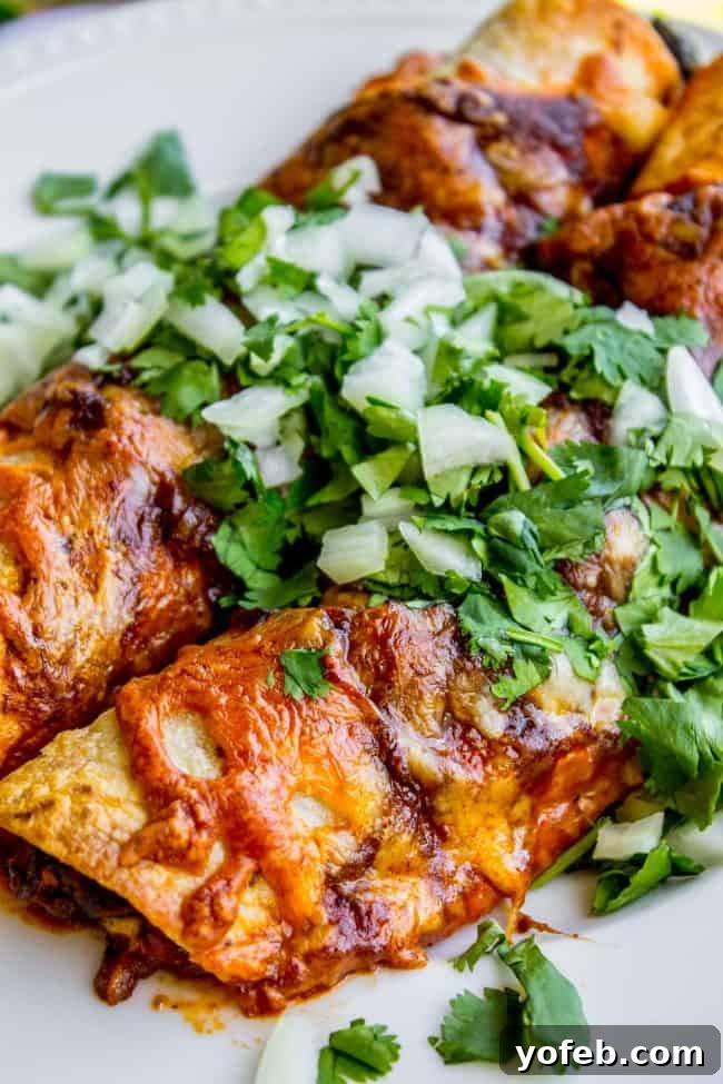 A single serving of sweet potato and black bean enchiladas, garnished with cilantro and onions, presented on a white plate.