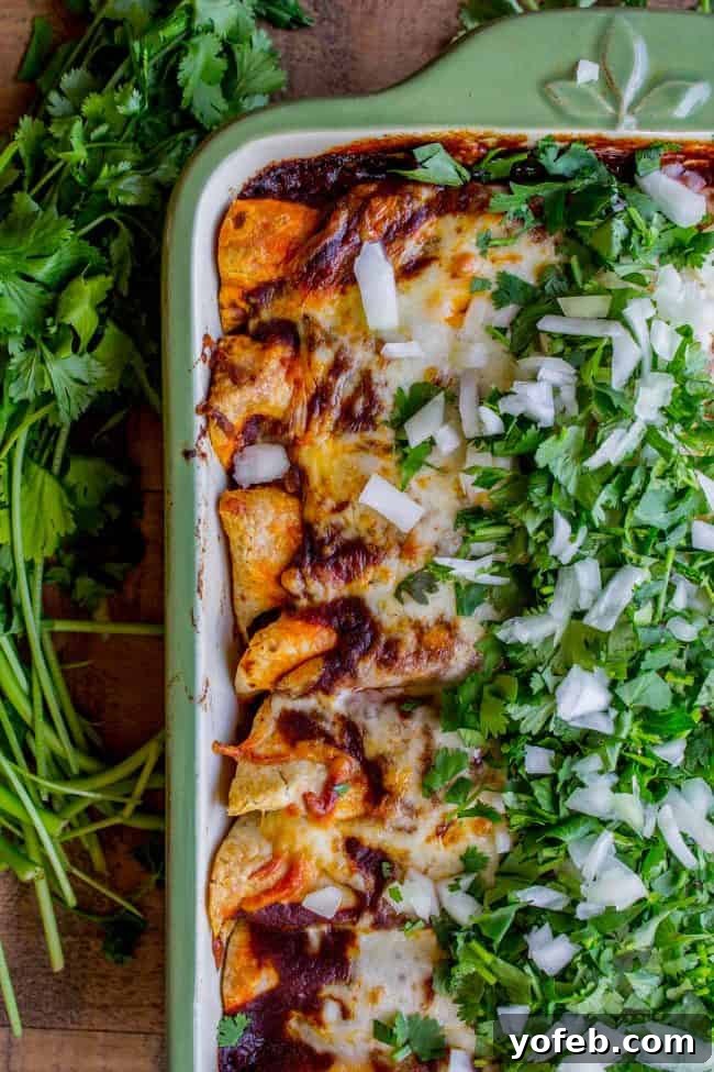 A baking dish filled with sweet potato and black bean enchiladas, beautifully topped with chopped onions and cilantro for garnish.