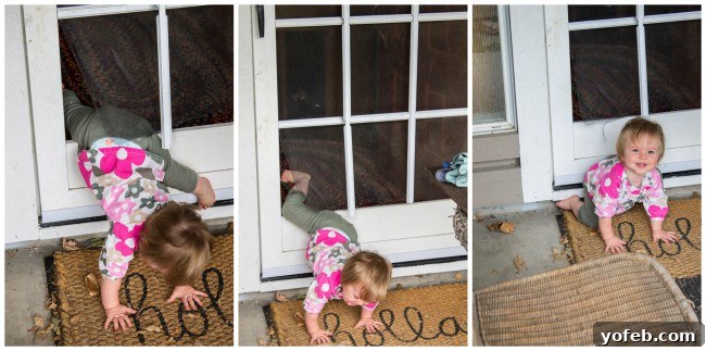 Tender Lebanese Beef and Green Bean Braise 4 Adorable child climbing a broken screen door