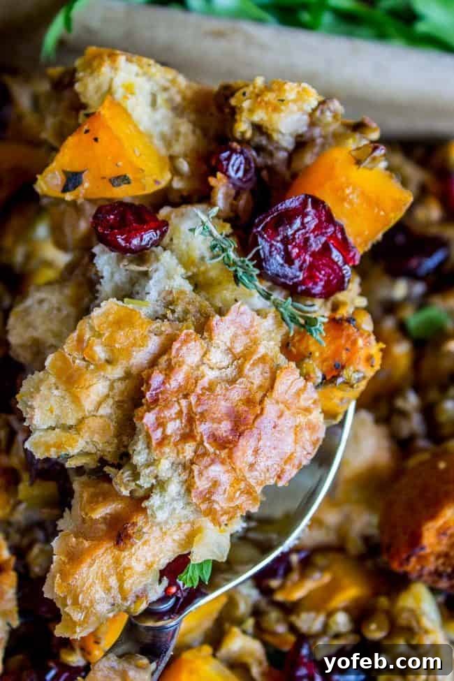 Autumn Harvest Butternut, Cranberry & Lentil Bake 10 Butternut Squash, Cranberry, and Lentil Stuffing from The Food Charlatan