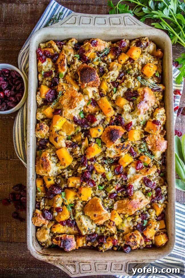 Autumn Harvest Butternut, Cranberry & Lentil Bake 2 Butternut Squash, Cranberry, and Lentil Stuffing from The Food Charlatan