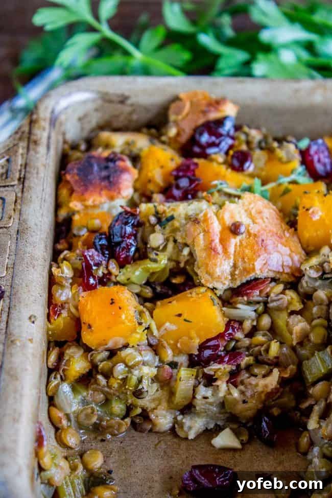 Autumn Harvest Butternut, Cranberry & Lentil Bake 4 Butternut Squash, Cranberry, and Lentil Stuffing from The Food Charlatan