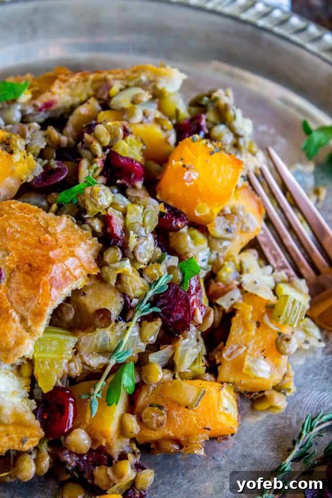 Autumn Harvest Butternut, Cranberry & Lentil Bake 5 Butternut Squash, Cranberry, and Lentil Stuffing from The Food Charlatan