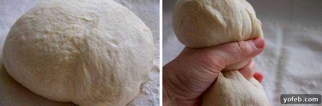 The Ultimate Garlic Knots Recipe 2 Smooth, elastic dough after kneading, ready for its first rise.
