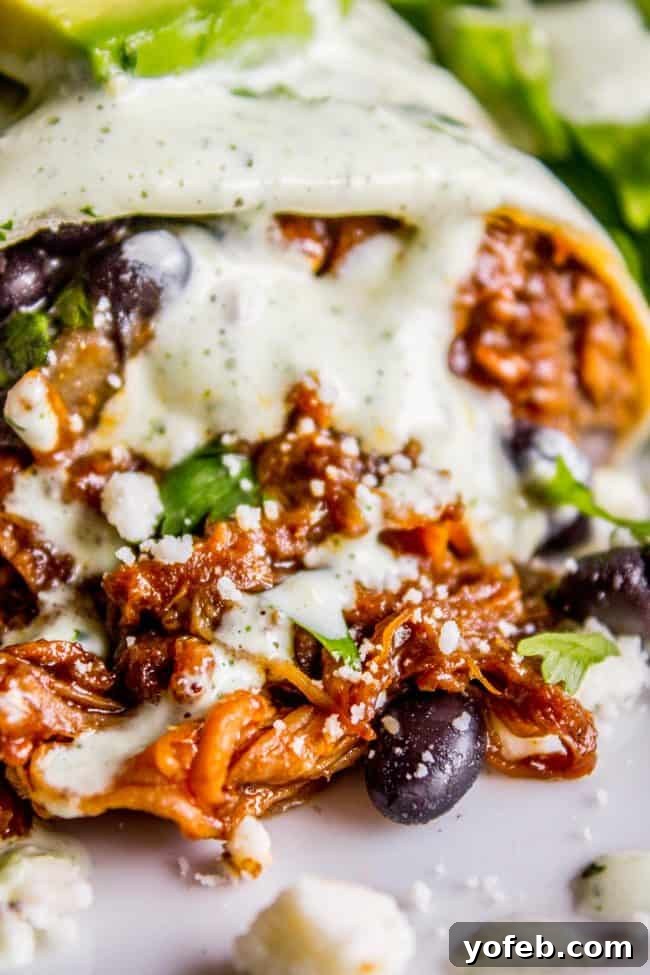 Cafe Rio-Style Sweet Shredded Pork Burrito Filling (Slow Cooker & Instant Pot) 2 A perfectly assembled Cafe Rio pork burrito, generously smothered with creamy Cilantro-Tomatillo Dressing and topped with fresh avocado slices and cilantro.