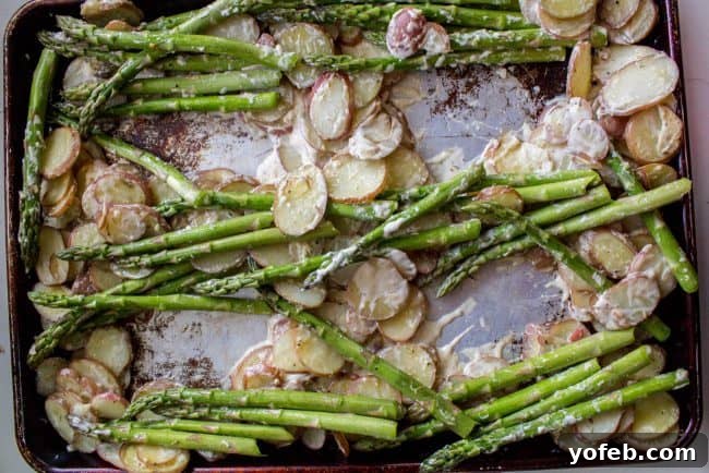 Sheet Pan Salmon with Creamy Scalloped Potatoes and Asparagus from The Food Charlatan. Don't you just love sheet pan dinners?? They are so easy and there's only ONE DISH to wash! This Citrus Herb Salmon is paired with creamy scalloped potatoes and fresh asparagus to make a super easy, pretty healthy, and DELICIOUS one pan meal. #dinner #asparagus #sheetpan #onepan #salmon #lemon #healthy #roastedsalmon #easy #quick #herb #potatoes #creamy #recipe #mealprep #weeknight #salmonrecipesbaked #salmondinner #onesheetpanmeals #sheetpanmeals Sheet pan asparagus and potato bake
