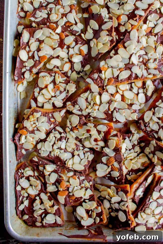 The Best Homemade English Toffee Recipe by The Food Charlatan. This is the BEST homemade English Toffee Recipe, hands down! This is such an easy and QUICK treat to make for the Christmas holidays. You don't even need a candy thermometer! #toffee #English #candy #Christmas #easy #homemade #tutorial #recipe #almonds Final shot of English toffee broken into irregular pieces, generously covered in sliced almonds, arranged in a silver half-sheet baking pan.