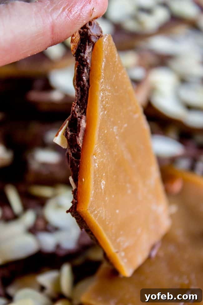 The Best Homemade English Toffee Recipe by The Food Charlatan. This is the BEST homemade English Toffee Recipe, hands down! This is such an easy and QUICK treat to make for the Christmas holidays. You don't even need a candy thermometer! #toffee #English #candy #Christmas #easy #homemade #tutorial #recipe #almonds A close-up picture showing a piece of golden brown, hard English toffee held up vertically, revealing its rich color and texture.