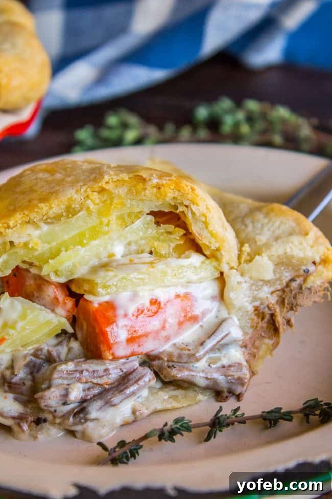 Roast Beef, Carrot, Potato Comfort Pie 4 slice of savory leftover beef pie on a pink plate.