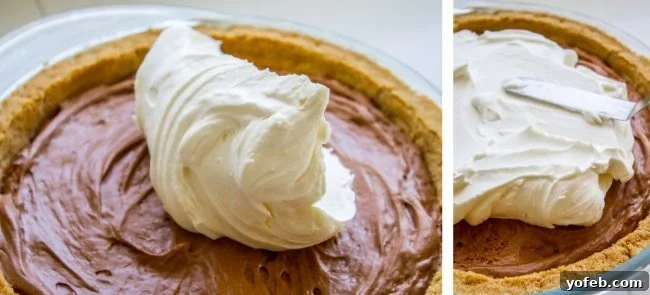 Velvety French Silk Delight with Graham Cracker Crunch 7 Fluffy, stiff-peaked stabilized whipped cream being generously spooned onto the smooth chocolate French Silk Pie filling.