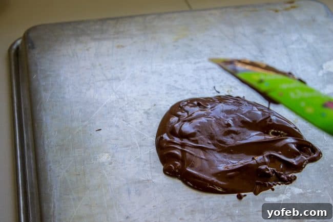 Velvety French Silk Delight with Graham Cracker Crunch 9 A step-by-step guide on how to make chocolate curls, showing melted chocolate spread thinly and evenly on the back of a baking sheet.
