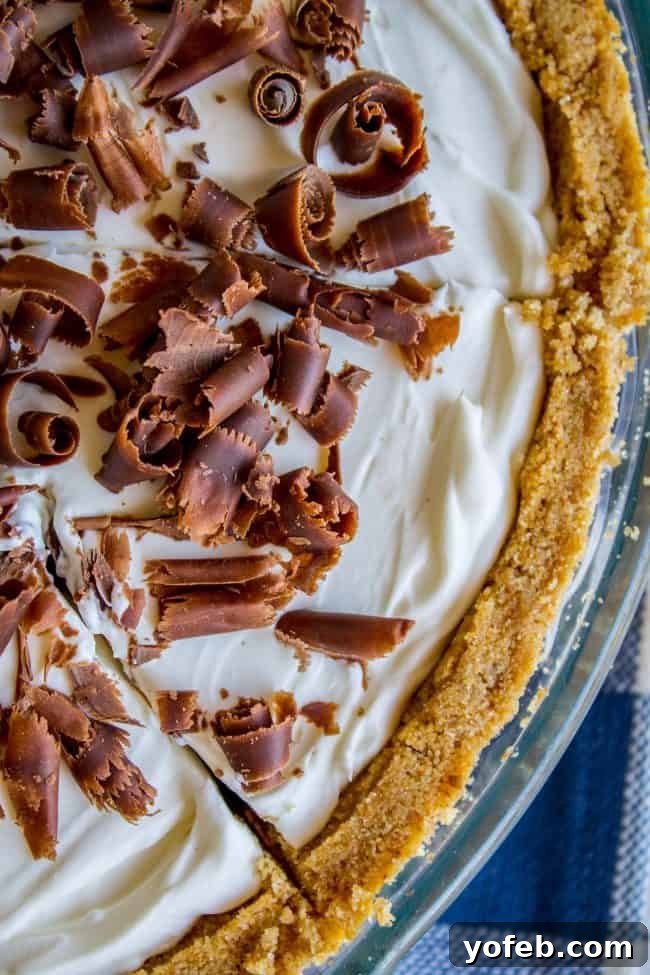Velvety French Silk Delight with Graham Cracker Crunch 8 An inviting overhead shot of a single slice of chocolate cream pie, beautifully garnished with delicate chocolate curls and a dusting of cocoa.