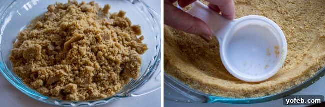 Velvety French Silk Delight with Graham Cracker Crunch 2 Ingredients for making a graham cracker crust: finely crushed graham cracker crumbs, granulated sugar, and melted butter, arranged neatly.