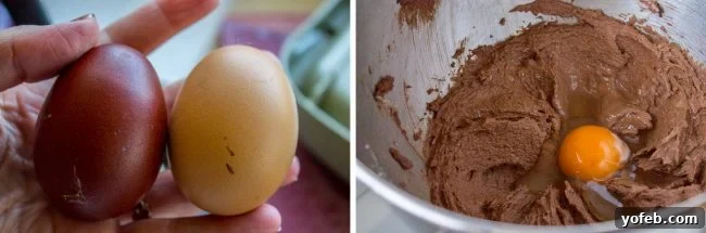 Velvety French Silk Delight with Graham Cracker Crunch 4 Two fresh, large eggs in their brown shells, carefully placed on a countertop, ready for use in the pie filling.