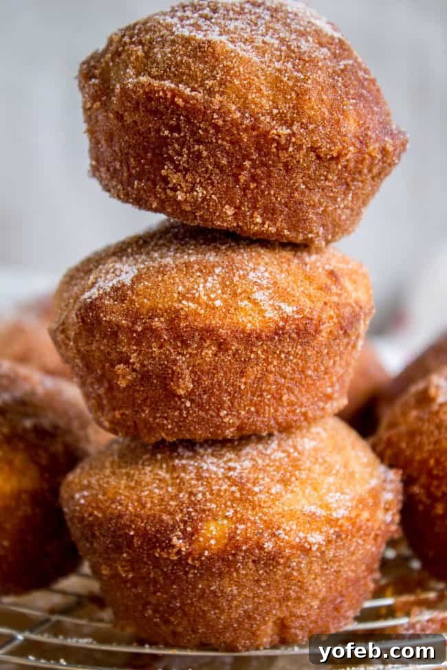 Sugared Cinnamon Morning Muffins 11 A stack of three golden cinnamon muffins, glistening with their sweet, spiced coating, ready to be enjoyed. These French Breakfast Puffs are a delightful and easy breakfast treat.