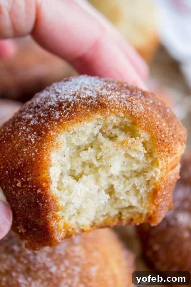 Sugared Cinnamon Morning Muffins 3 A close-up of a French Breakfast Puff with a bite taken, revealing the soft, fluffy interior and the perfectly golden, crunchy cinnamon-sugar exterior. It's a comforting, classic muffin.