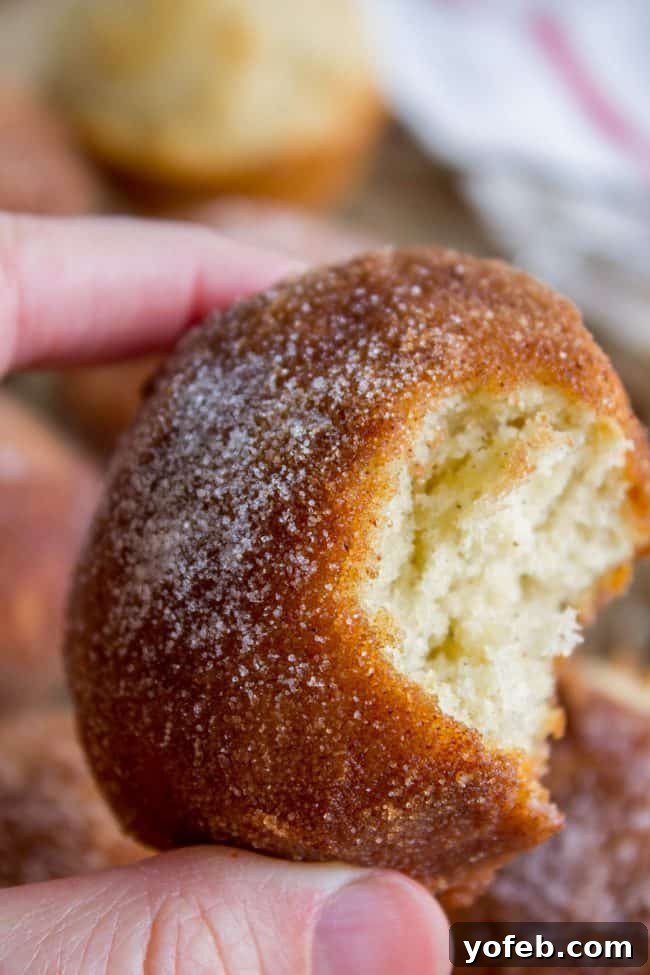 Sugared Cinnamon Morning Muffins 5 A golden-brown muffin, generously coated in cinnamon sugar, resembling a mini doughnut. This French Breakfast Puff offers all the flavor of a fried treat without the fuss, perfect for a quick breakfast.