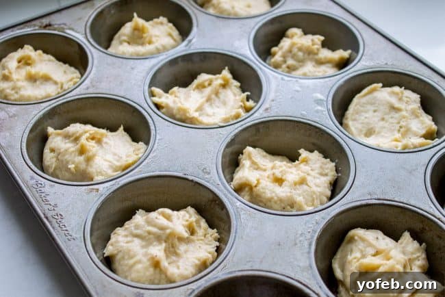 Sugared Cinnamon Morning Muffins 7 Muffin batter neatly scooped into a greased muffin tin, ready for baking. This quick and easy preparation leads to perfect French Breakfast Puffs.