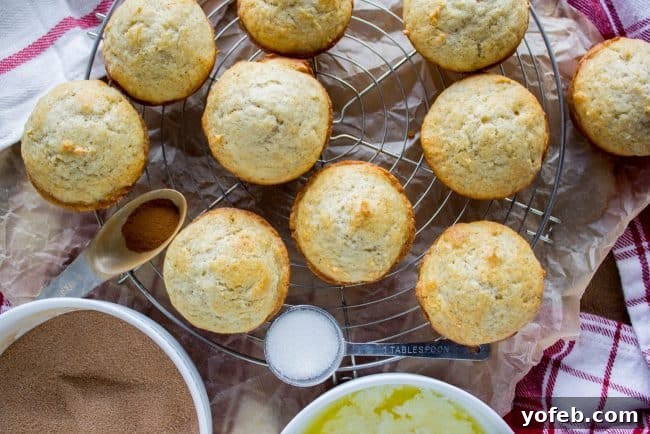 Sugared Cinnamon Morning Muffins 8 Freshly baked French Breakfast Puffs emerging from the oven, golden and lightly browned, promising a soft interior before their buttery cinnamon-sugar coating.
