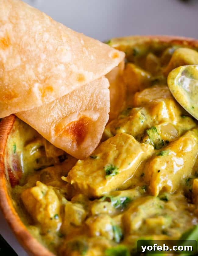 Roti Buttery Indian Flatbread Perfection 24 rolled Indian flatbread dipping into yellow curry.