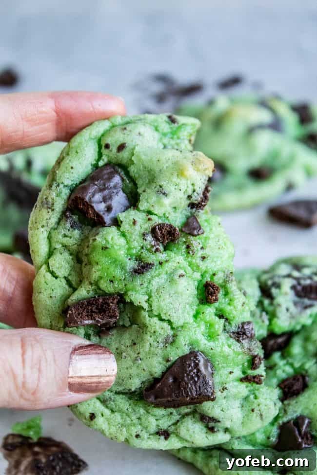 Thin Mint Mint Cookies: A double mint cookie dream with Girl Scout Thin Mints inside, perfect for St. Patrick's Day or any mint chocolate craving. #cookies #stpatricksday #thinmint #girlscout #green #mint A hand gently holds a freshly baked, large green Thin Mint Mint Cookie, showcasing its soft texture and the slight sheen of the chocolate.