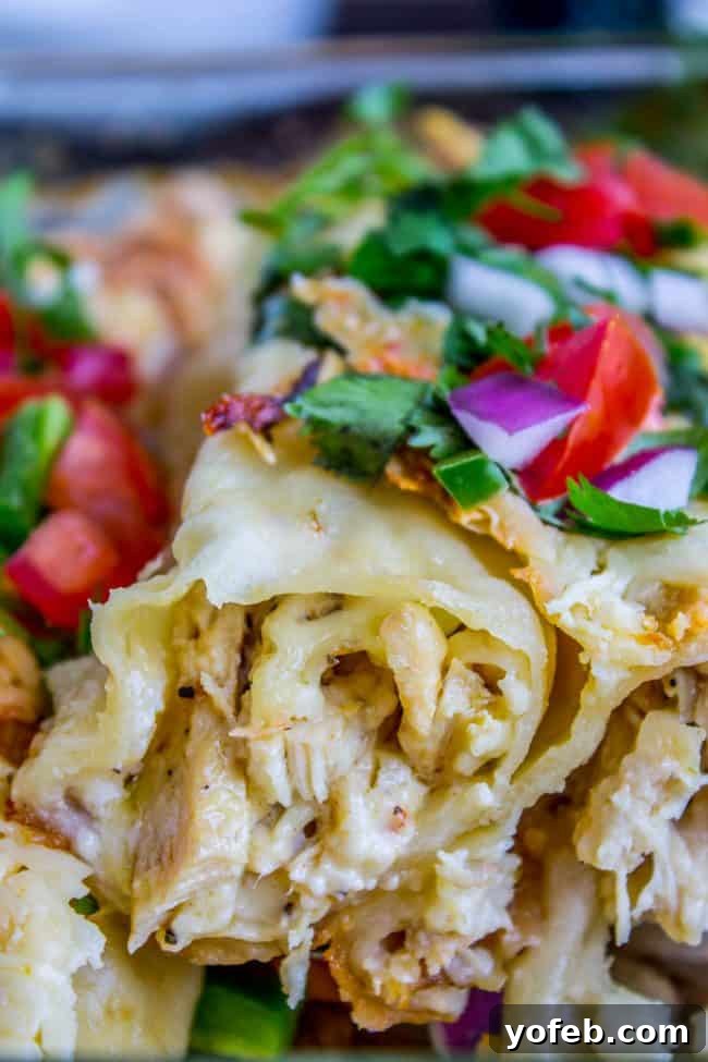 Creamy Enchiladas Served chicken enchiladas with creamy sauce and cheese
