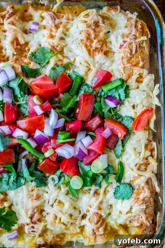 Creamy Chicken Enchiladas, a family favorite pan of creamy white chicken enchiladas with tomatoes